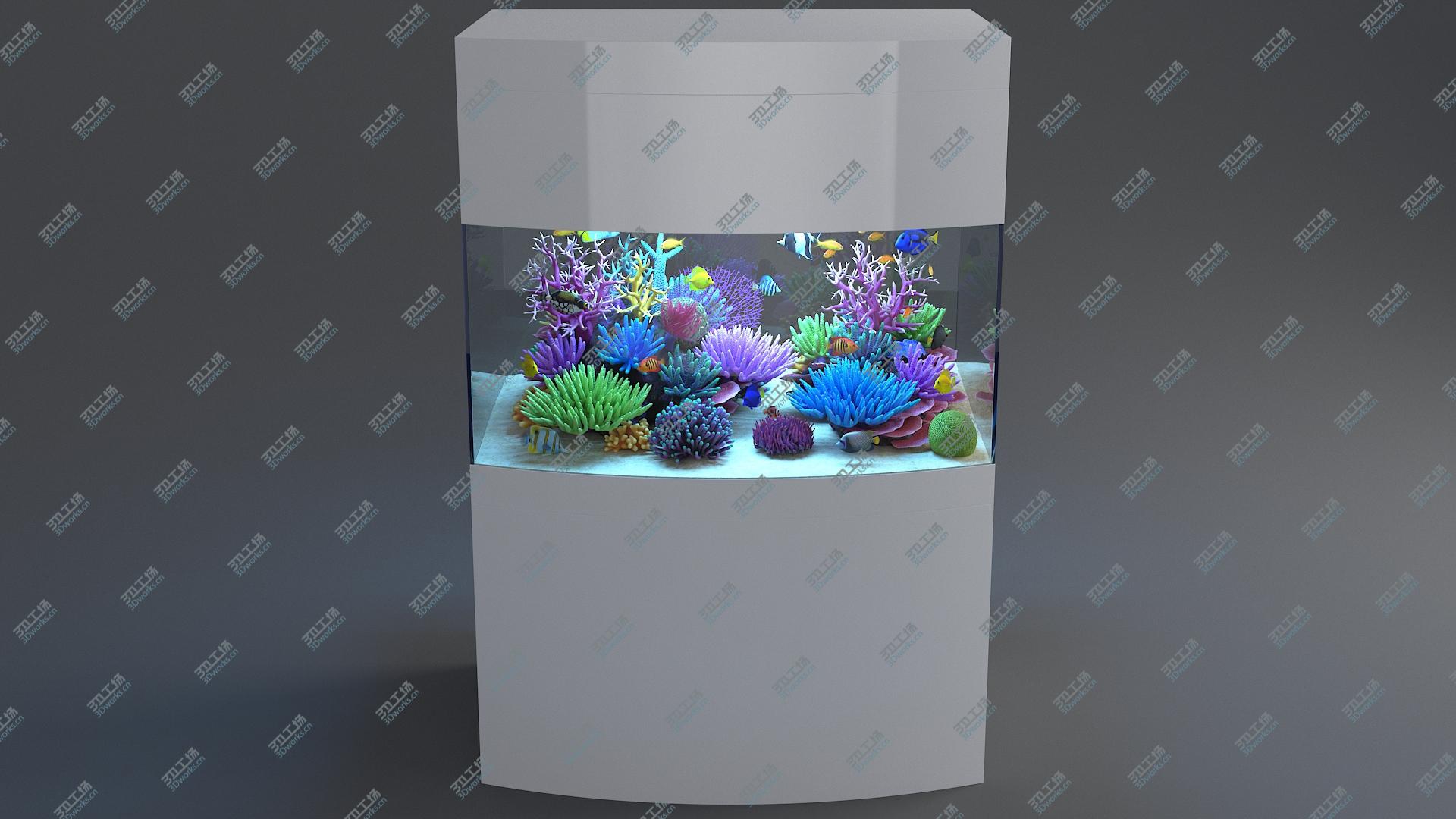 images/goods_img/202104093/Aquarium 07 3D/3.jpg